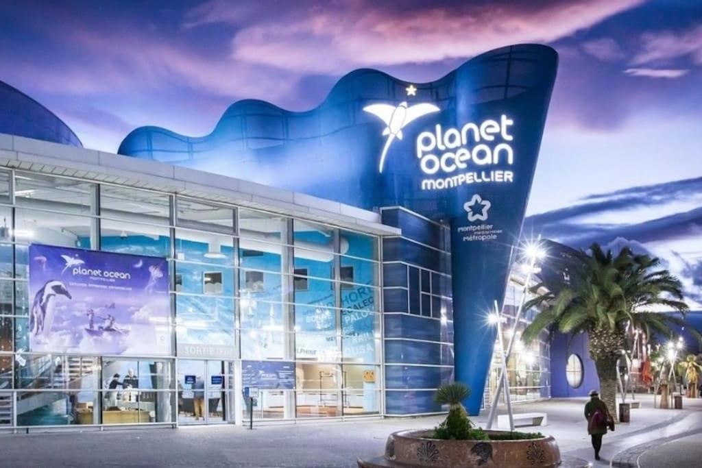 Confort Climatise Et Suite Privee En Sousplex Μονπελιέ Εξωτερικό φωτογραφία